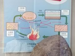 -延庆地质公园博物馆