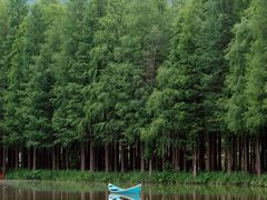 -佛冈森波拉度假区