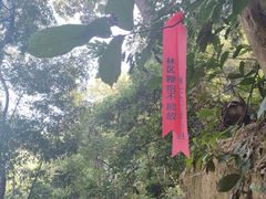 -黄埔油麻山森林公园