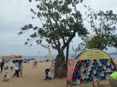 -大梅沙海滨公园