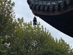 -北寺塔