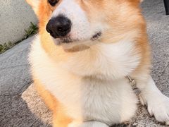 -浙江农林大学(东湖校区)