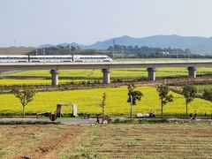 -光明小镇欢乐田园