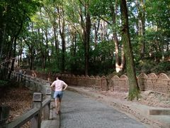 -灵岩山风景区