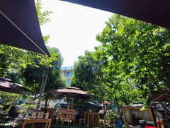 -张鸟园农家乐(张鸟园店)