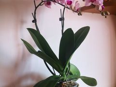 -宝鸡东道花鸟鱼虫市场(吉利花园商场店)