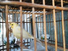 -王虎子大饼(甸柳新村五区店)