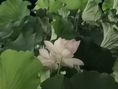 -福州大学(旗山校区)