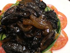 -林之六八·6886大连老菜馆