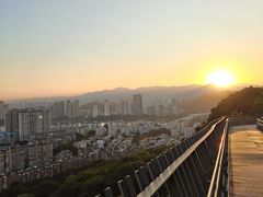 -福道
