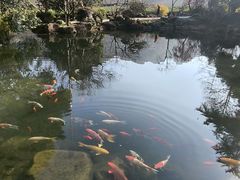 -中国茶叶博物馆(双峰馆区)