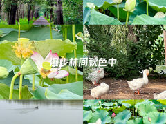-廊坊市自然公园