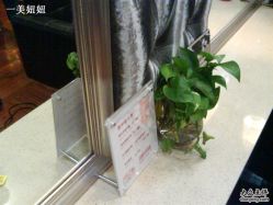 桌上的绿化~不错哦-东瀛国际造型