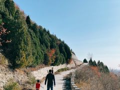-府君山公园