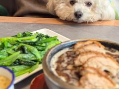 -张烤鸭·川菜·非遗冒烤鸭(青石桥店)