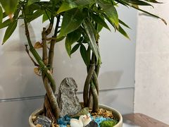 -汉堡双倍·喜鹊堡