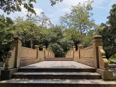 -晓港公园