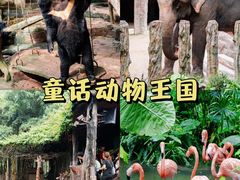 -长鹿旅游休博园