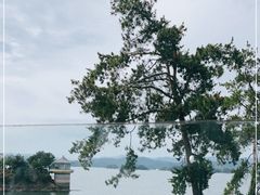 -宝荣鱼馆·临湖之宴(千岛湖店)