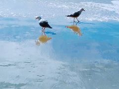 -摩拉基大圆石