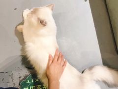 -小时光咖啡馆(开森度假森林店)