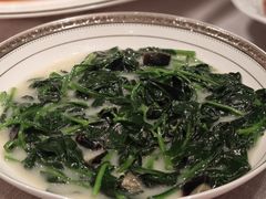 -T館·花园艺术餐厅