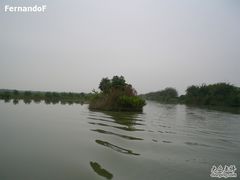 -大湾区中央湿地公园