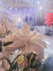 -苏宁环球套房饭店·宴会厅