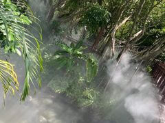 -厦门园林博览苑