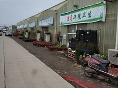 -龙大花卉苗木市场