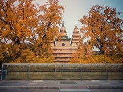 -北京石刻艺术博物馆(五塔寺)