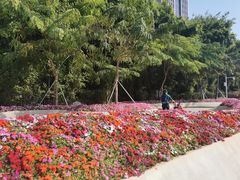 -深圳国际园林花卉博览园