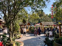 -青城甲(青城山店)