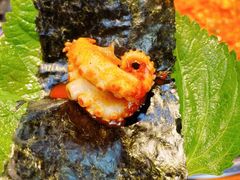 -红辣椒八爪鱼特色韩国料理