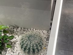 -金汤宴餐厅·粤菜(德云社店)