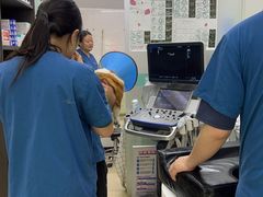 -瑞派动物医院·猫专科·至诚(江南中分院)