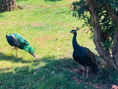 -云南艺术学院(呈贡校区)