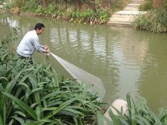 -水乡人家私房菜(逢简店)