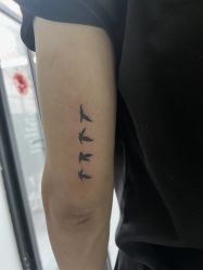 -明星刺青·洗纹身