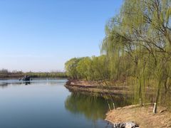 -大兴滨河森林公园