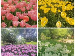 -国家植物园