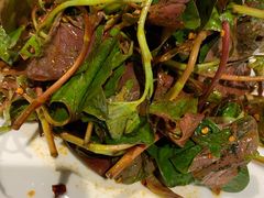 -舌尖上的食缘花园主题餐厅