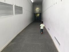 -中国湿地博物馆