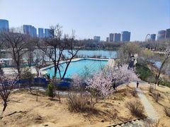 -青城公园