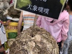 -大象粑粑造纸公园