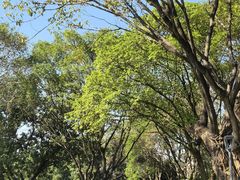 -云溪植物园