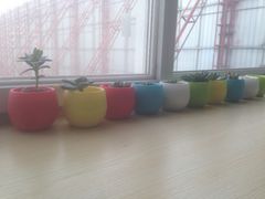 -橡皮照相馆