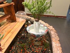 -龙源茶坊(白银路店)