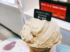 -野人先生现做冰淇淋(西安赛格店)