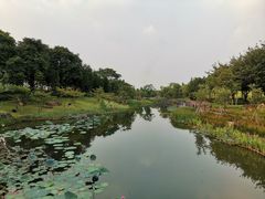 -映月湖公园